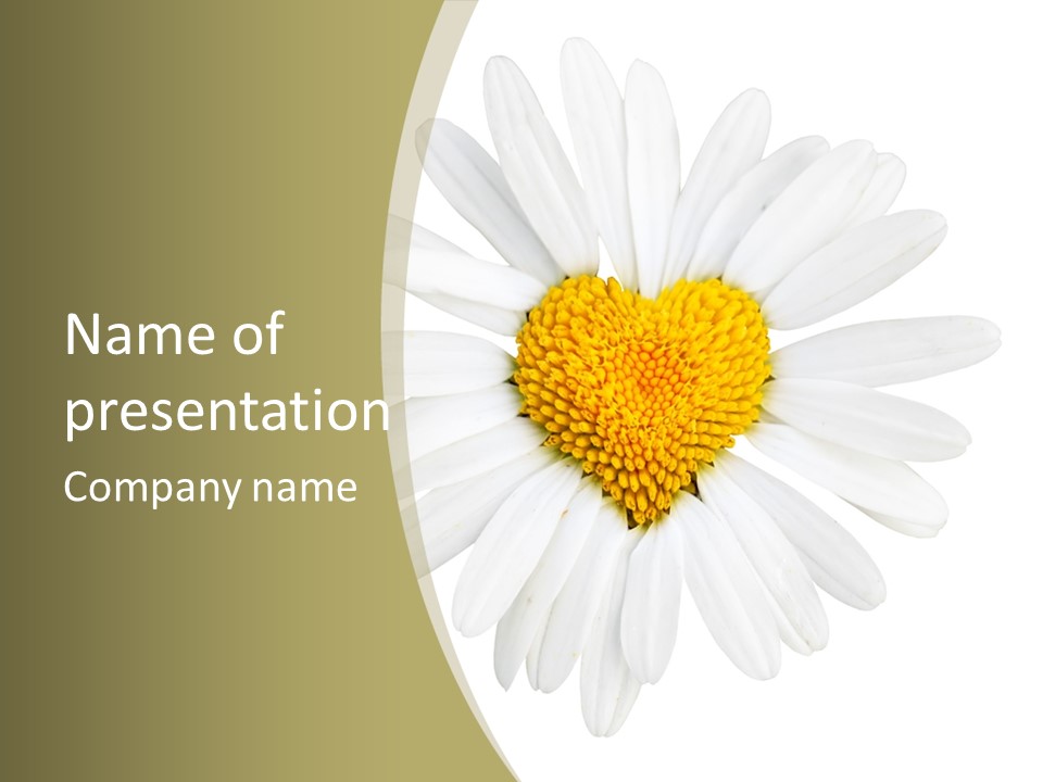 Close Up Season Background PowerPoint Template