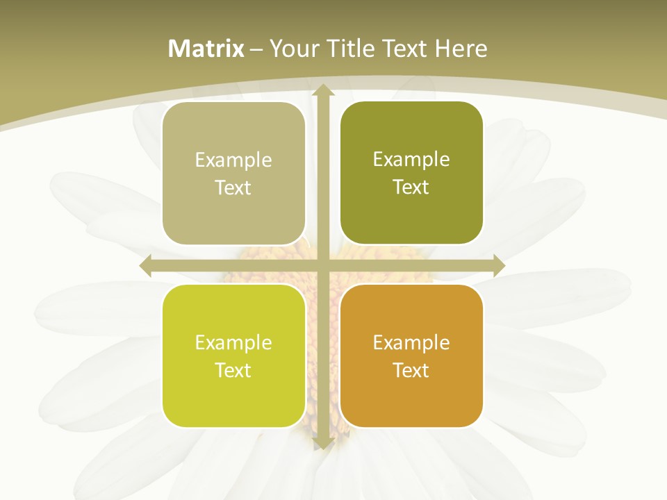 Close Up Season Background PowerPoint Template