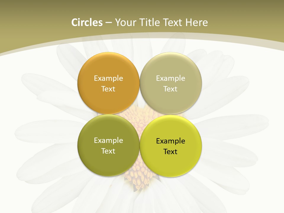 Close Up Season Background PowerPoint Template