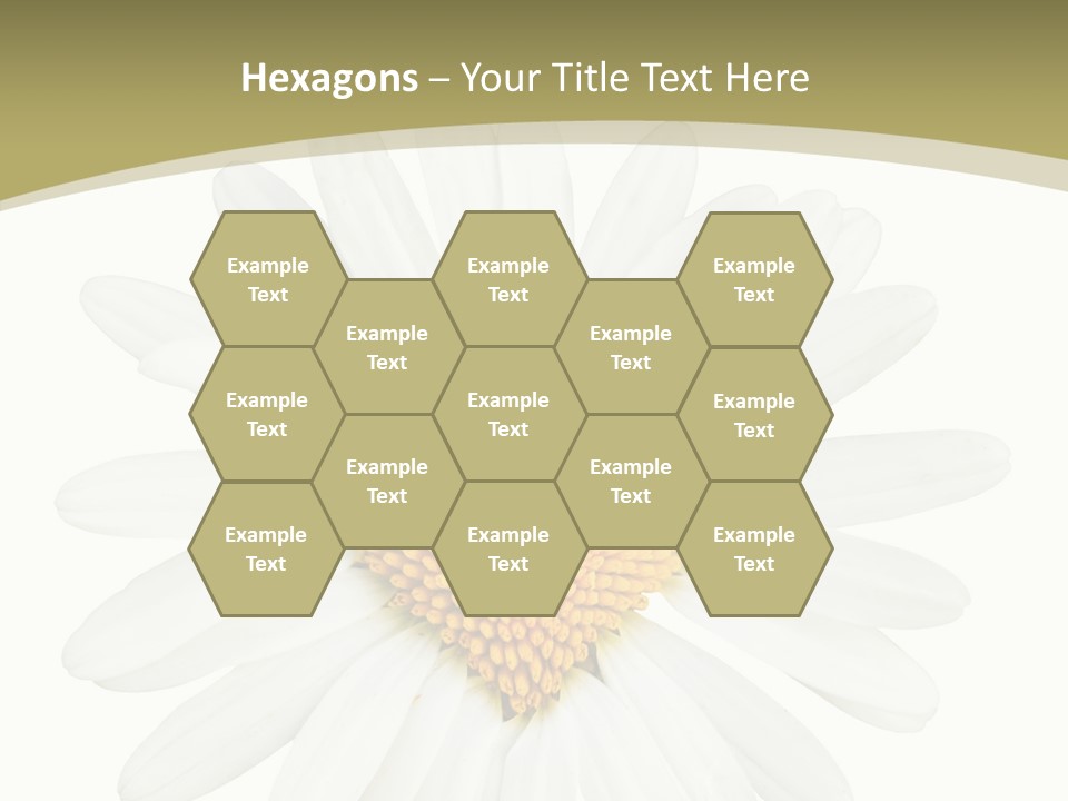 Close Up Season Background PowerPoint Template