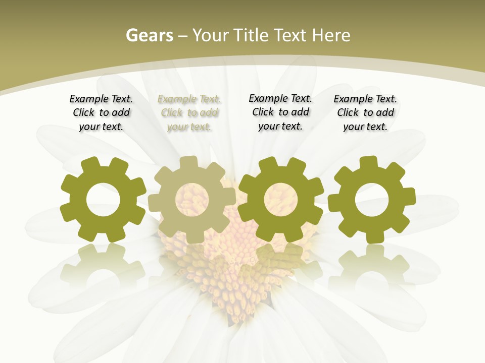 Close Up Season Background PowerPoint Template