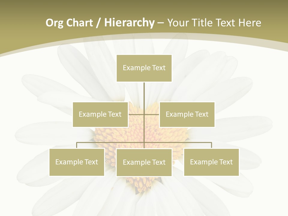 Close Up Season Background PowerPoint Template