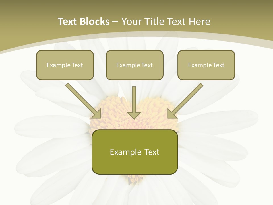 Close Up Season Background PowerPoint Template