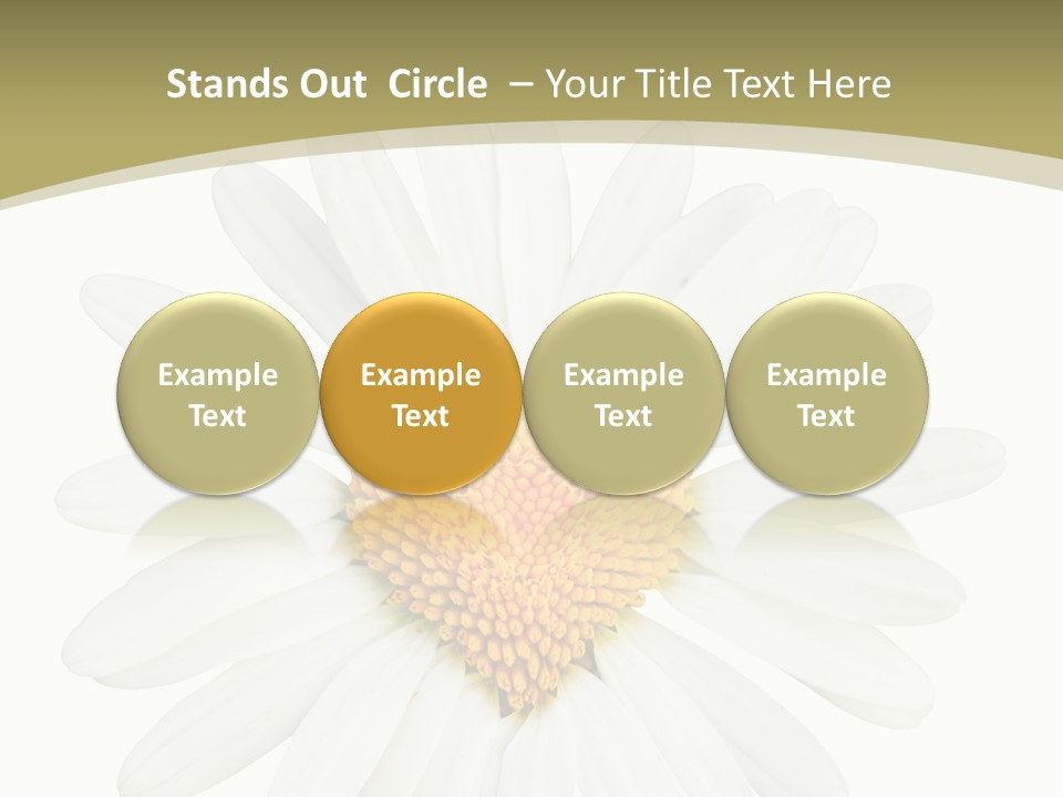 Close Up Season Background PowerPoint Template