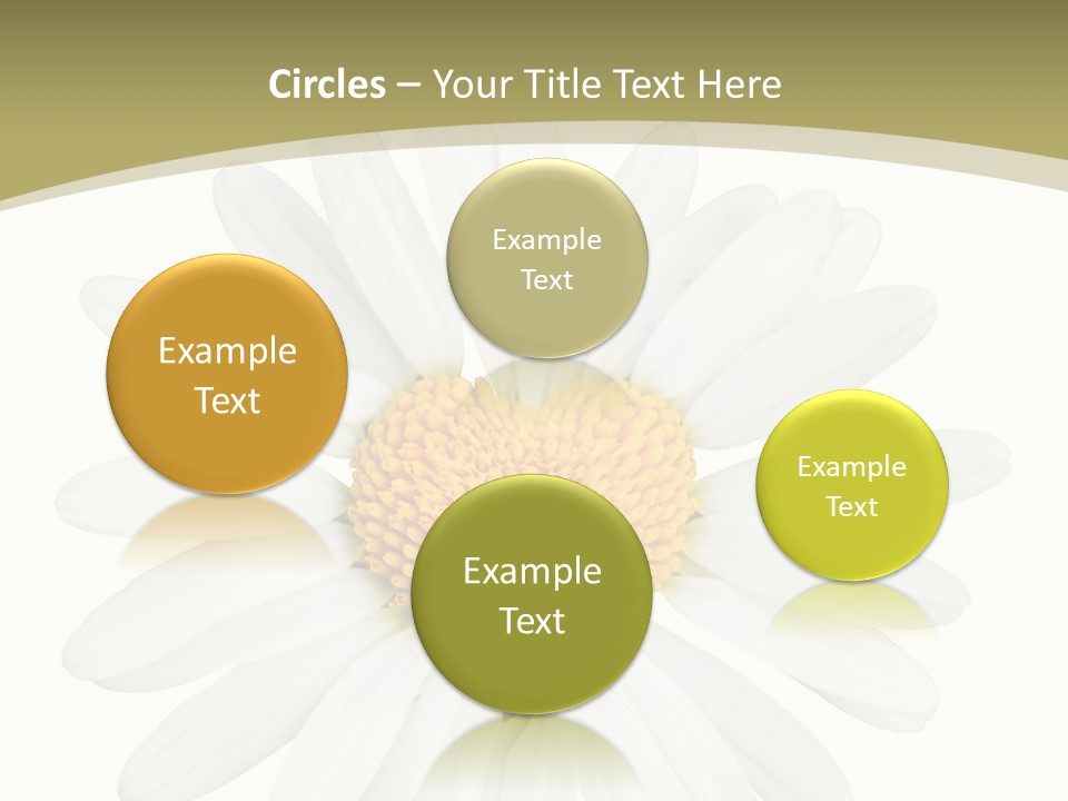 Close Up Season Background PowerPoint Template