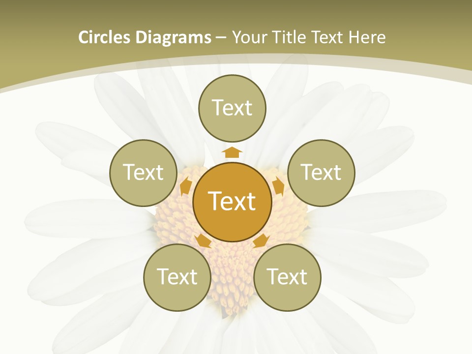 Close Up Season Background PowerPoint Template