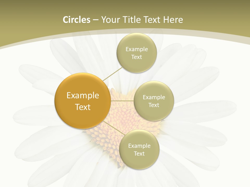 Close Up Season Background PowerPoint Template