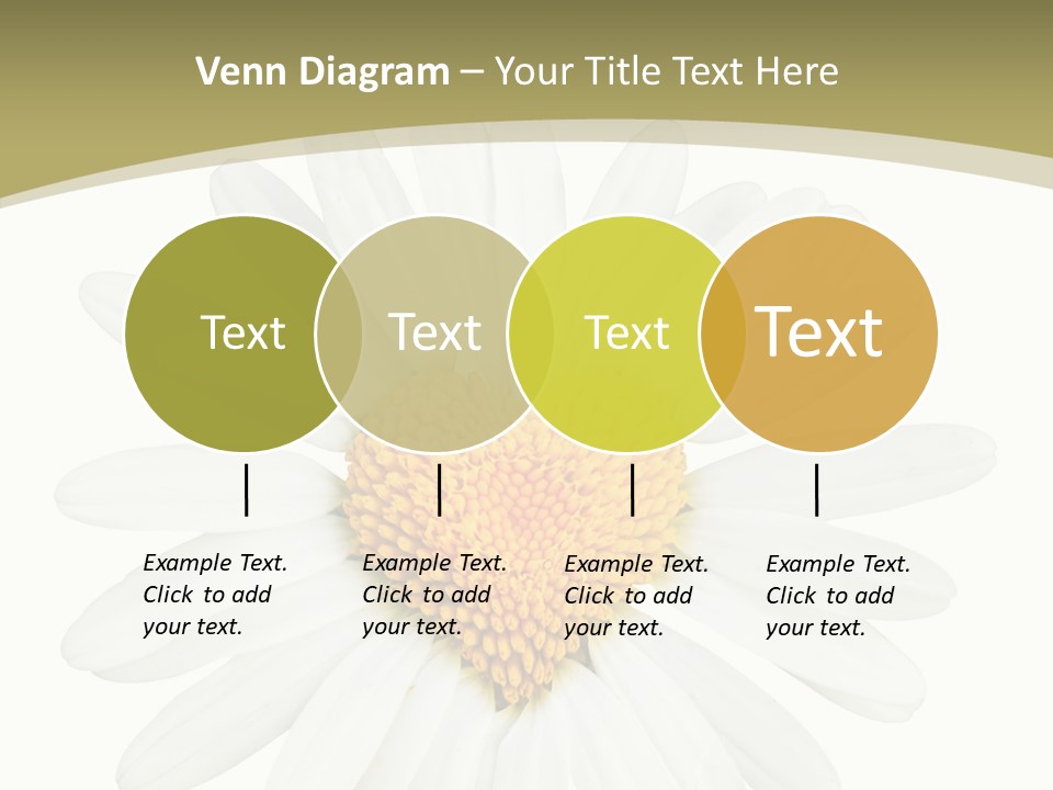 Close Up Season Background PowerPoint Template