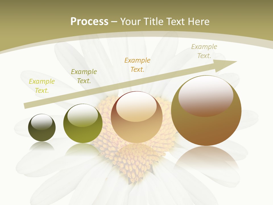 Close Up Season Background PowerPoint Template