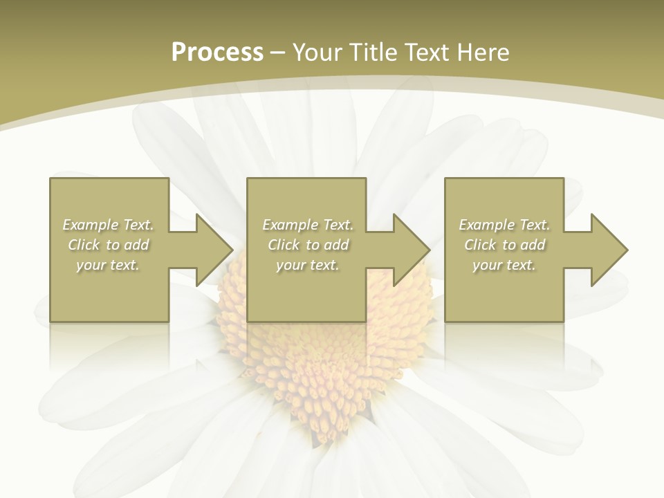 Close Up Season Background PowerPoint Template