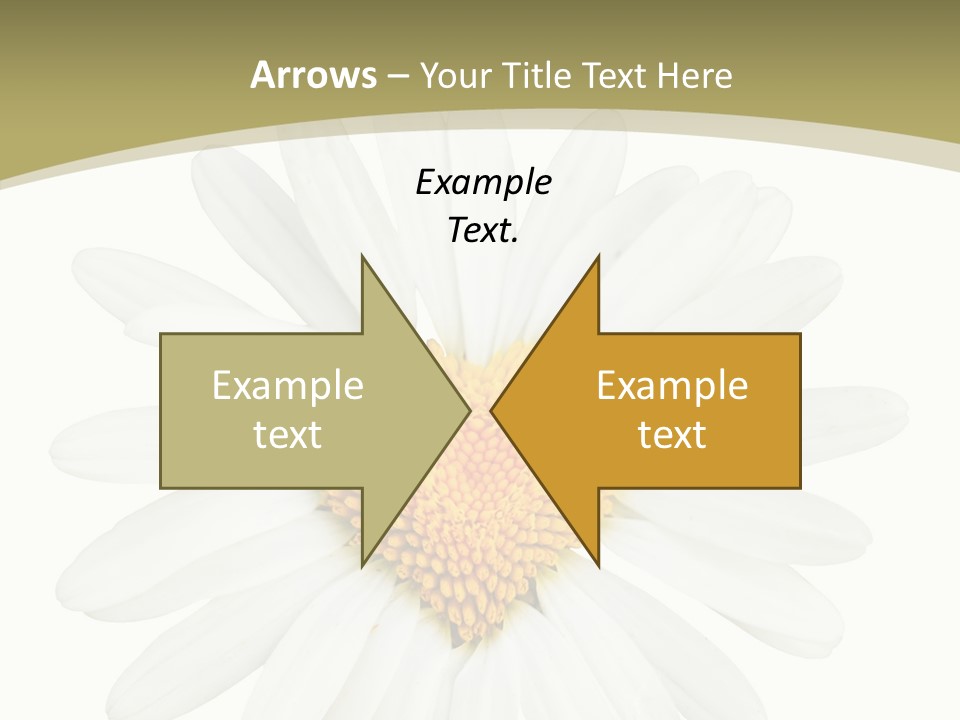 Close Up Season Background PowerPoint Template