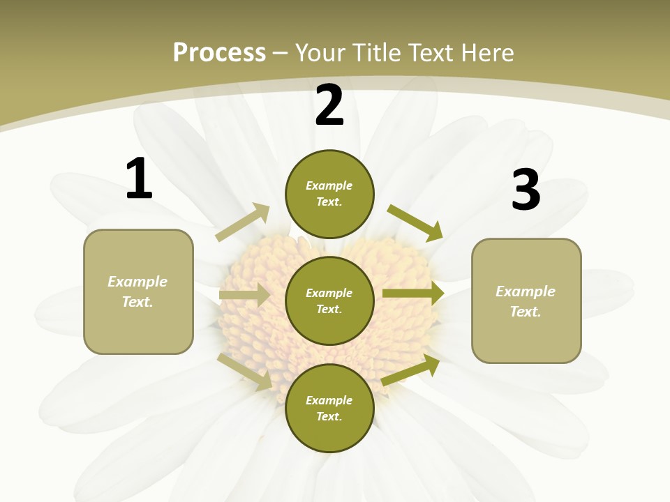 Close Up Season Background PowerPoint Template