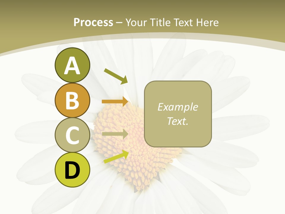 Close Up Season Background PowerPoint Template