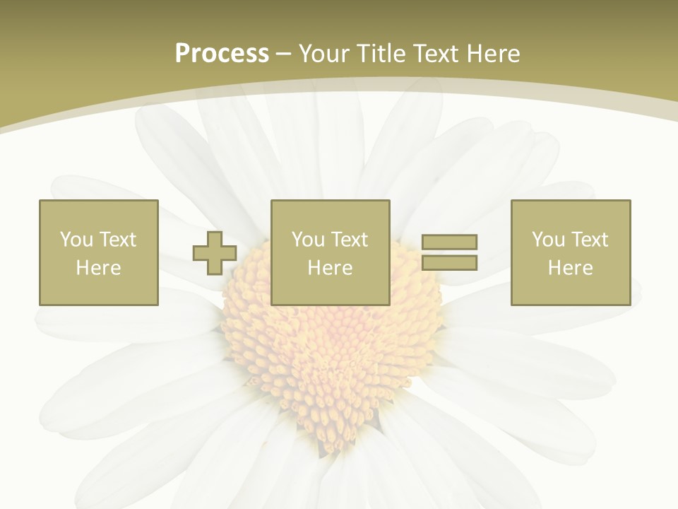 Close Up Season Background PowerPoint Template