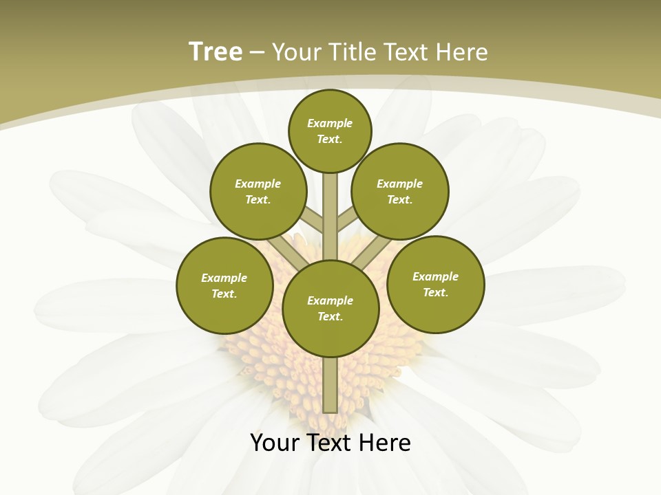 Close Up Season Background PowerPoint Template