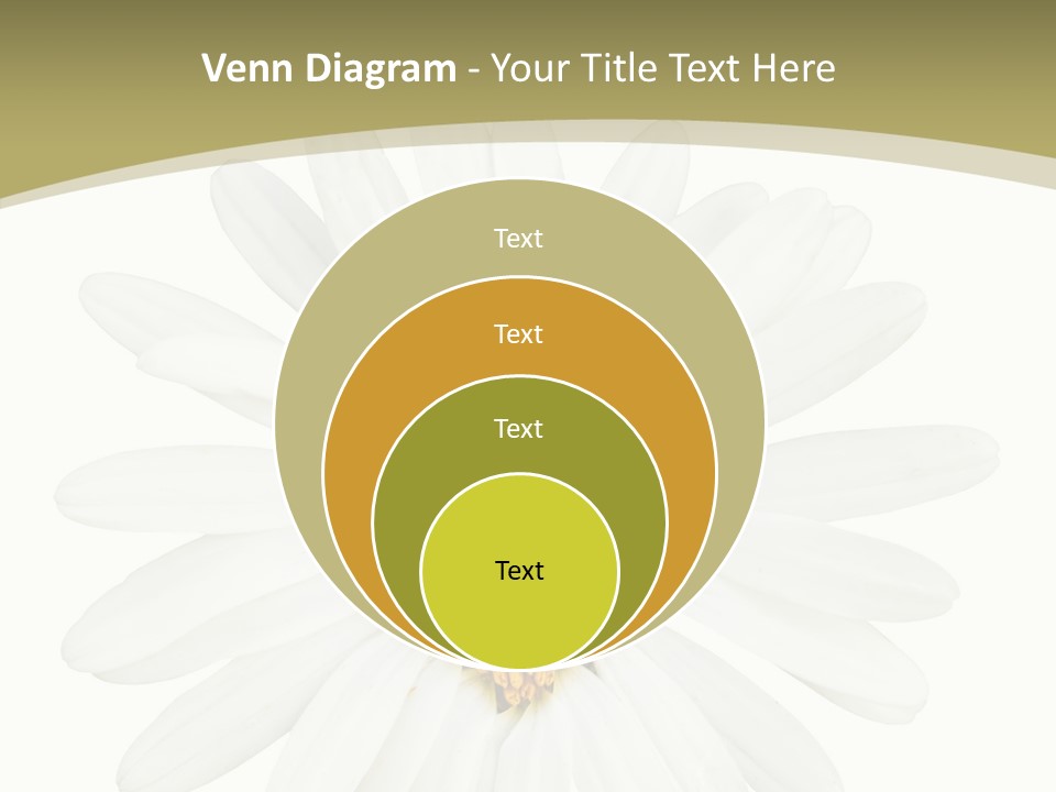 Close Up Season Background PowerPoint Template
