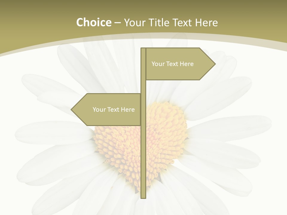 Close Up Season Background PowerPoint Template