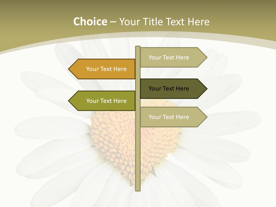 Close Up Season Background PowerPoint Template