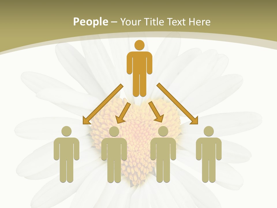 Close Up Season Background PowerPoint Template