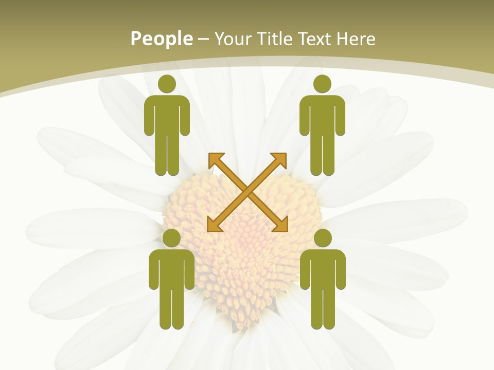 Close Up Season Background PowerPoint Template