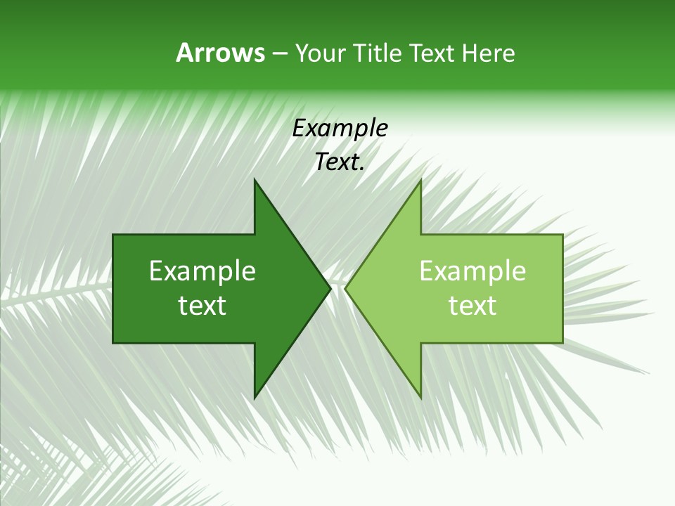Bay Travel Paradise PowerPoint Template