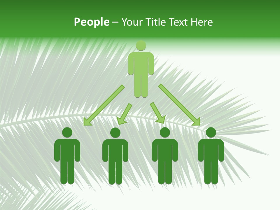 Bay Travel Paradise PowerPoint Template