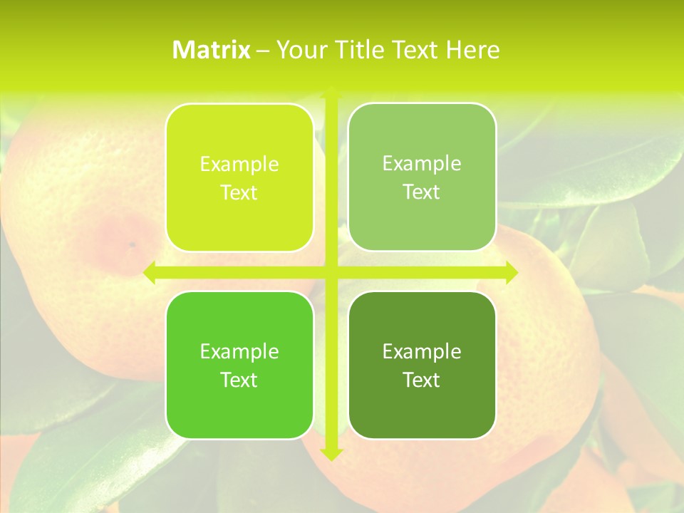 Nature Tangerine Fruit PowerPoint Template