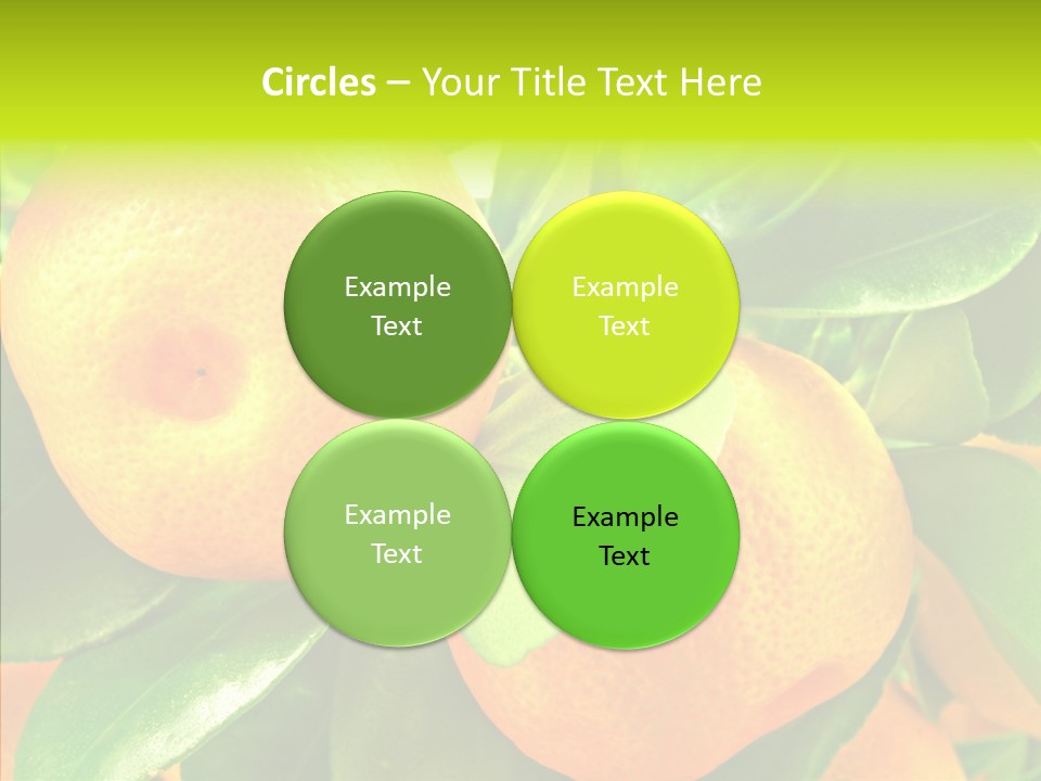 Nature Tangerine Fruit PowerPoint Template