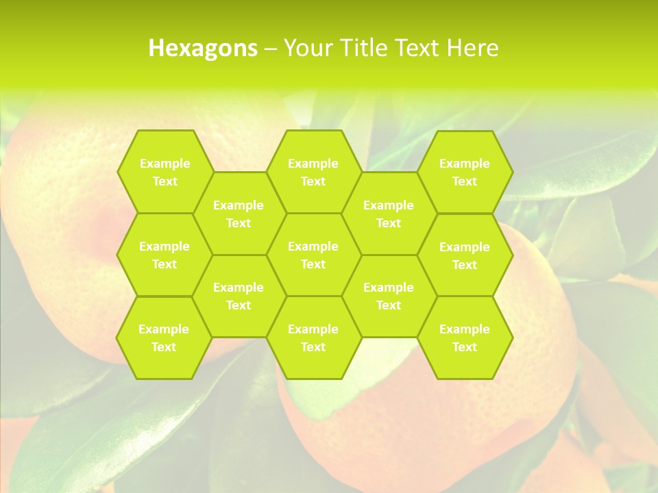 Nature Tangerine Fruit PowerPoint Template