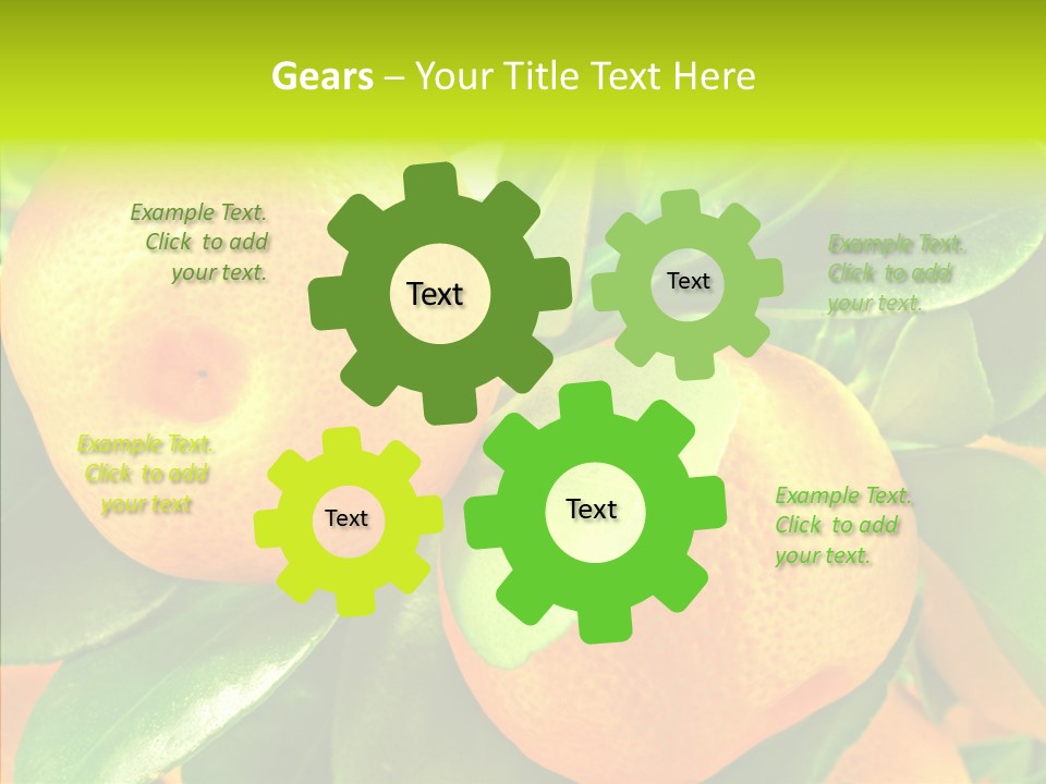 Nature Tangerine Fruit PowerPoint Template