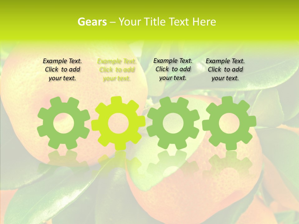 Nature Tangerine Fruit PowerPoint Template