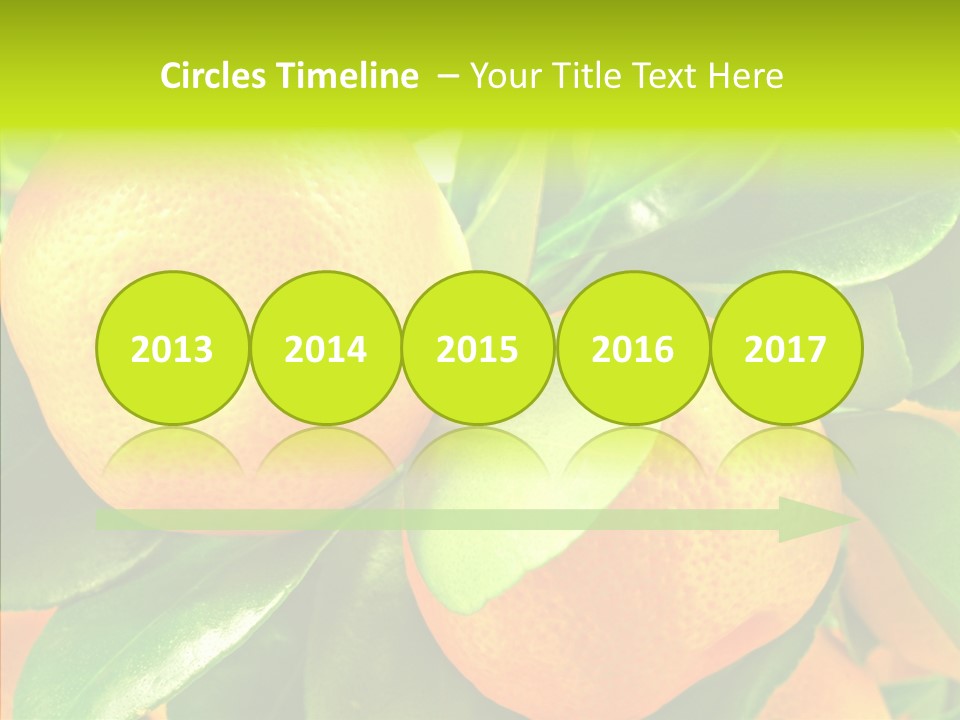 Nature Tangerine Fruit PowerPoint Template
