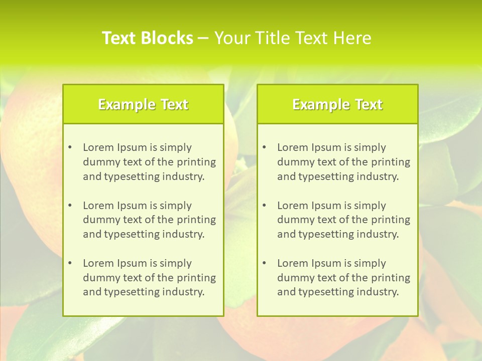 Nature Tangerine Fruit PowerPoint Template