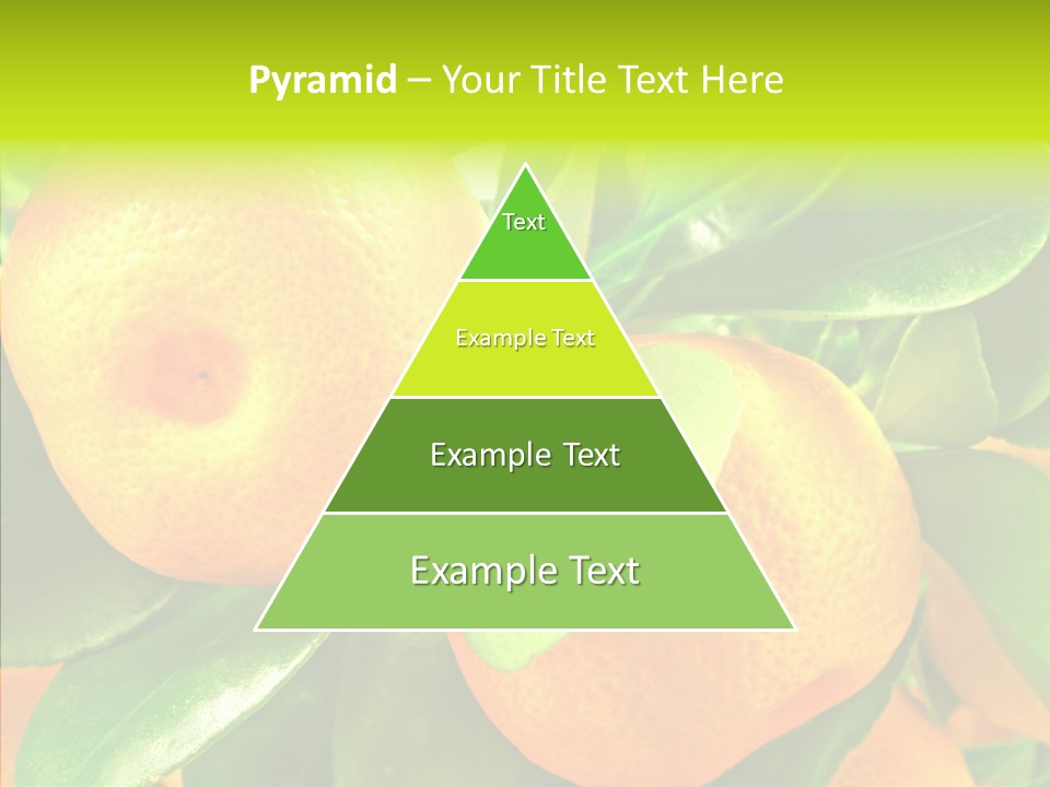 Nature Tangerine Fruit PowerPoint Template