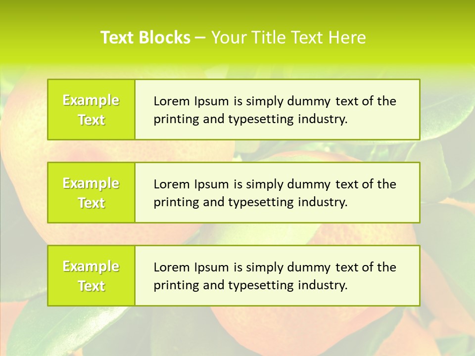 Nature Tangerine Fruit PowerPoint Template