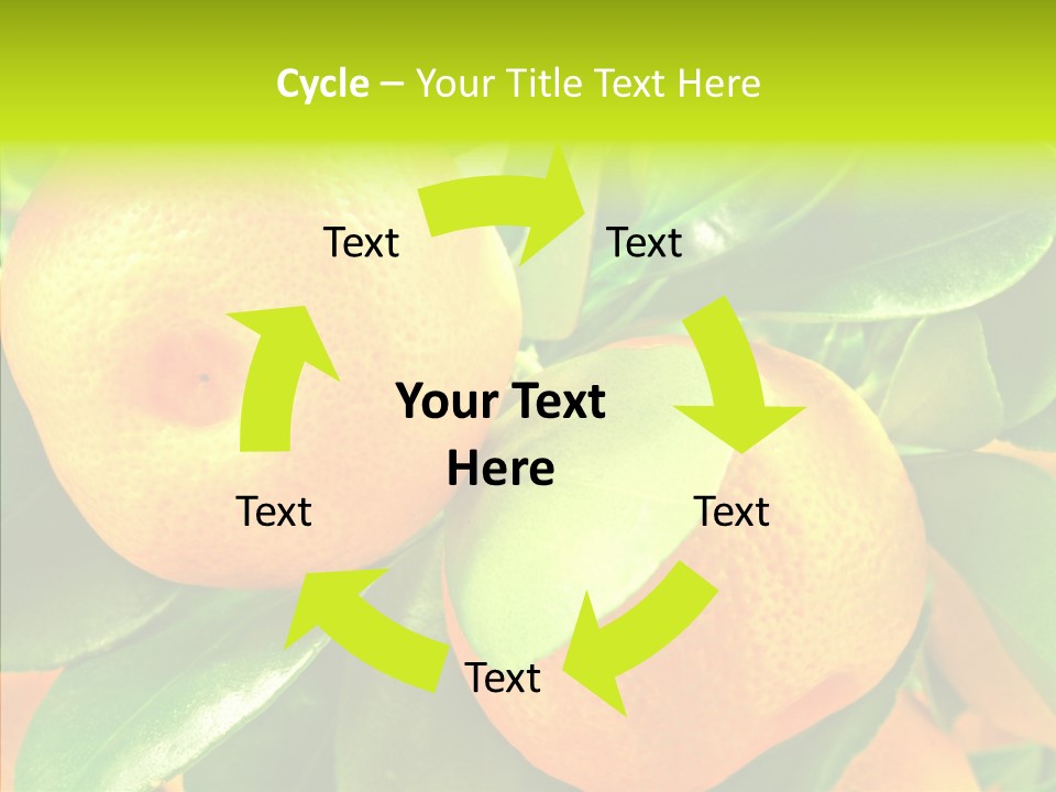 Nature Tangerine Fruit PowerPoint Template