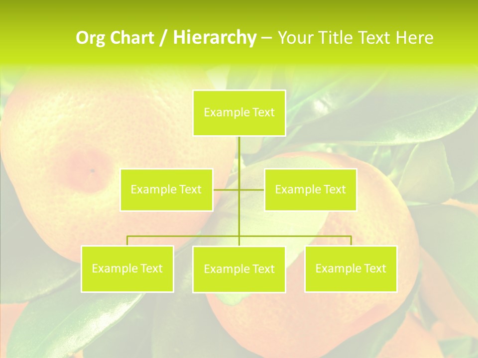 Nature Tangerine Fruit PowerPoint Template