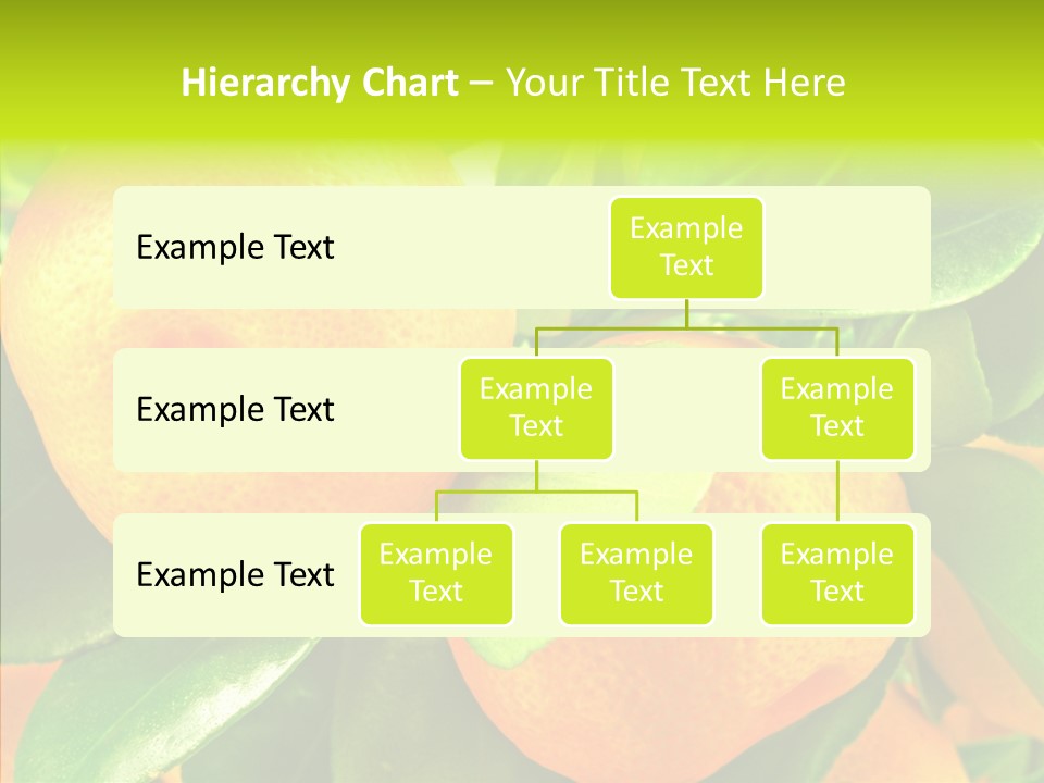 Nature Tangerine Fruit PowerPoint Template