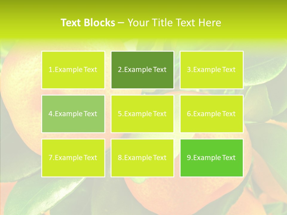 Nature Tangerine Fruit PowerPoint Template