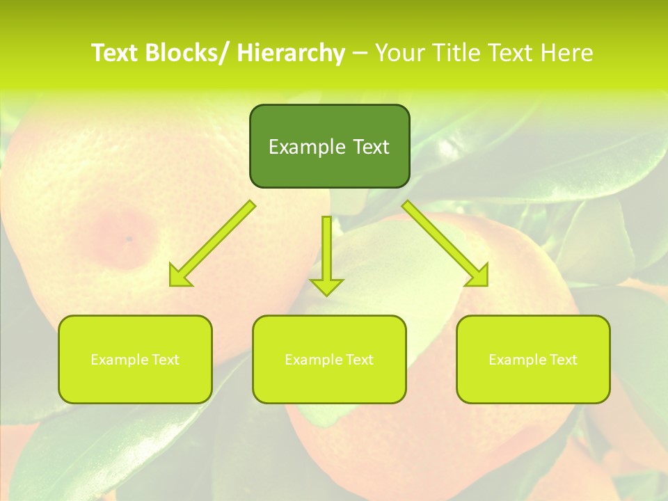 Nature Tangerine Fruit PowerPoint Template