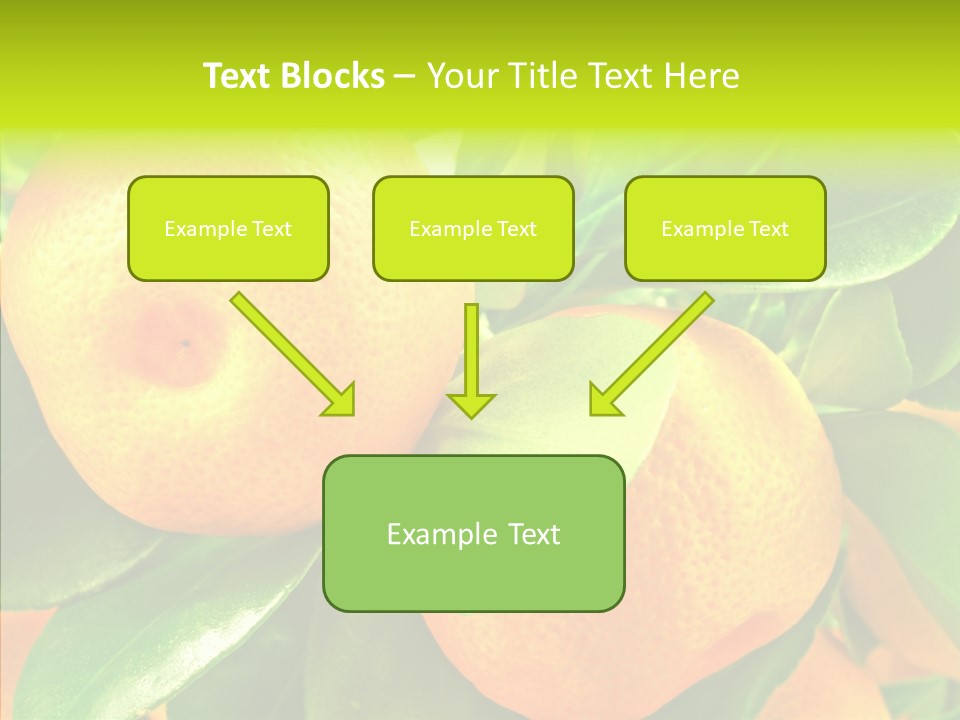 Nature Tangerine Fruit PowerPoint Template