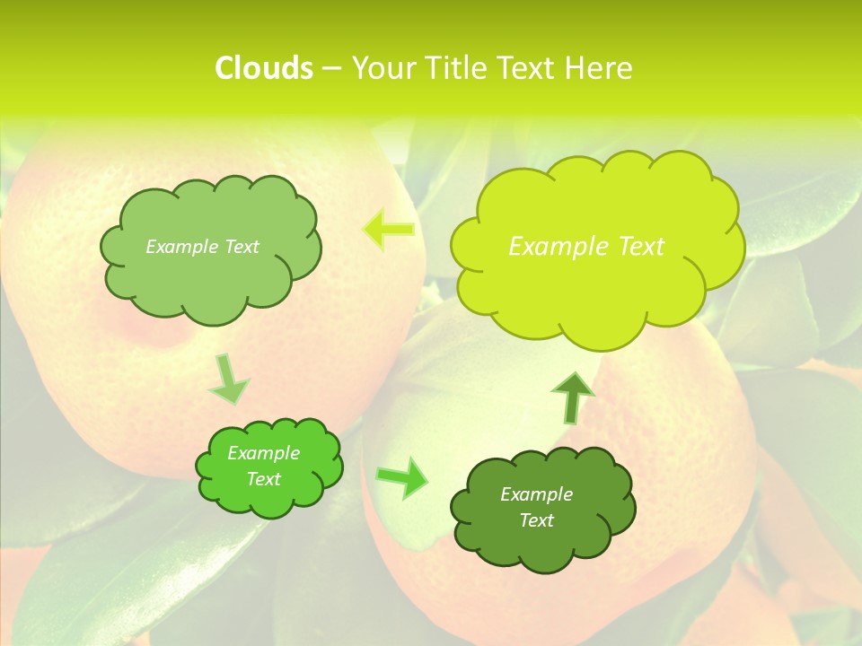 Nature Tangerine Fruit PowerPoint Template