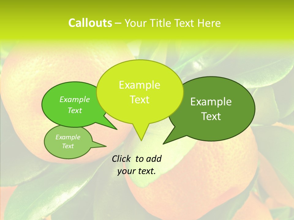 Nature Tangerine Fruit PowerPoint Template