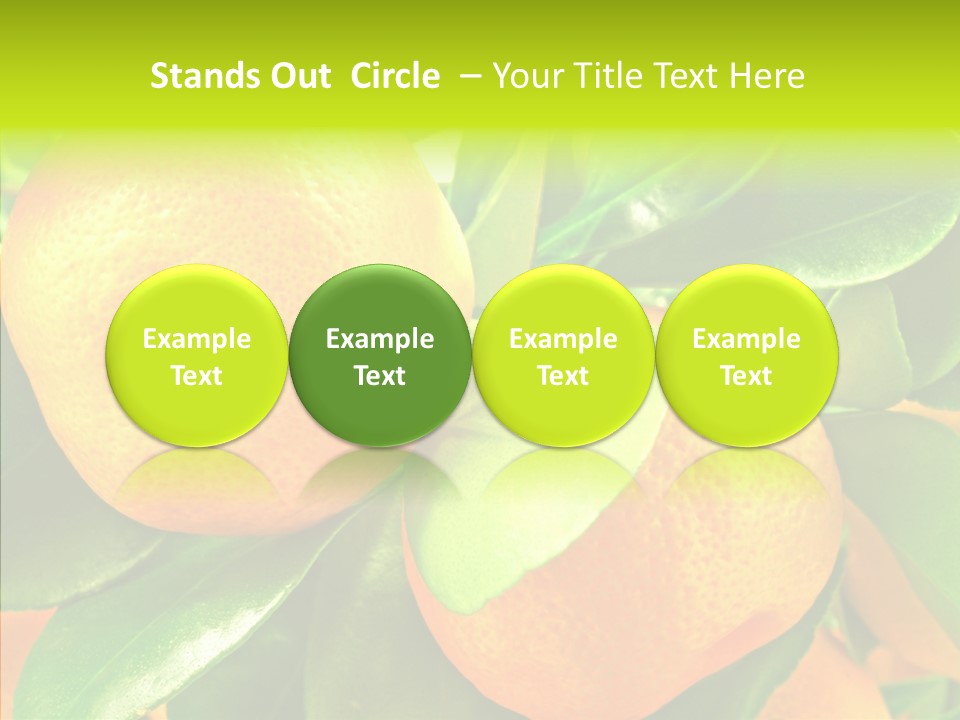 Nature Tangerine Fruit PowerPoint Template