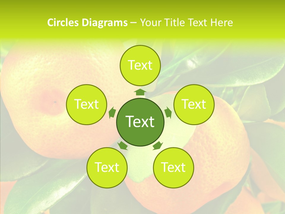 Nature Tangerine Fruit PowerPoint Template