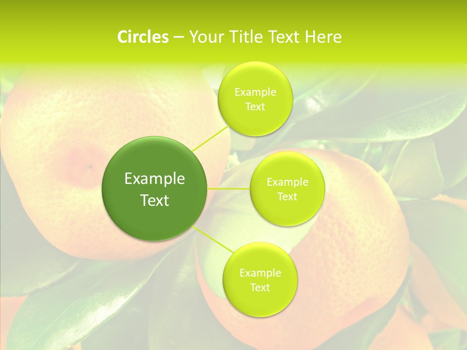 Nature Tangerine Fruit PowerPoint Template