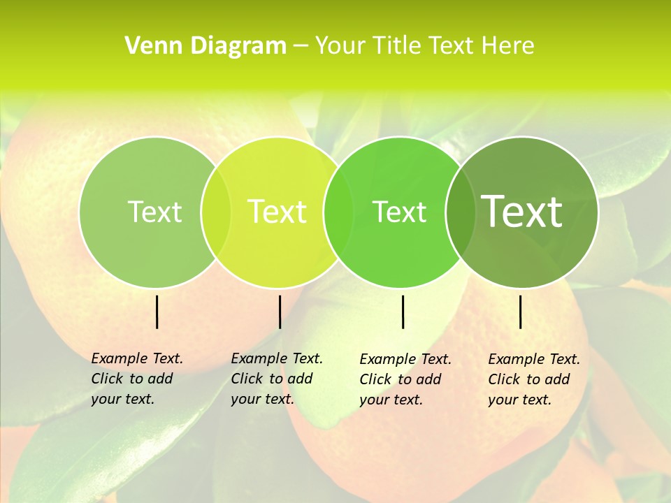Nature Tangerine Fruit PowerPoint Template