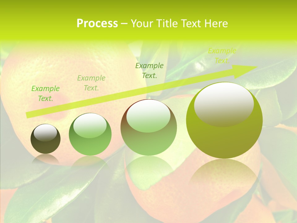 Nature Tangerine Fruit PowerPoint Template