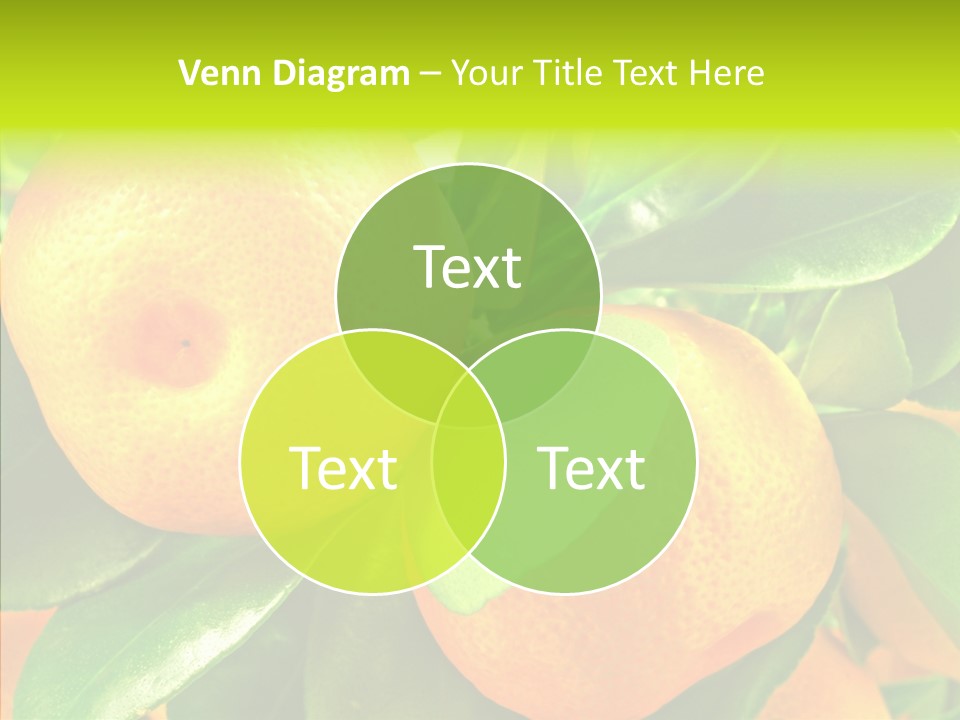 Nature Tangerine Fruit PowerPoint Template