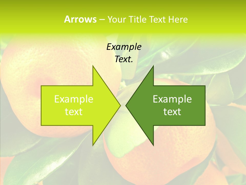 Nature Tangerine Fruit PowerPoint Template